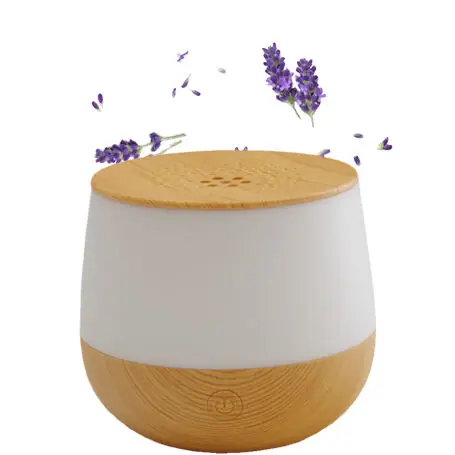 фото Ароматизатор повітря Airbi Lotus Light Wood