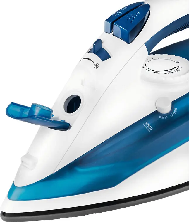 фото Праска з парою ECG NZ 322