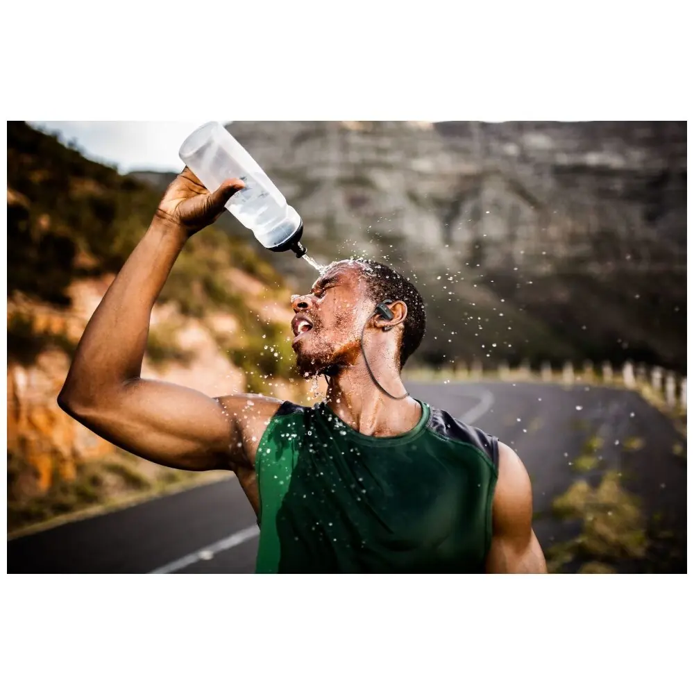 фото Навушники з мікрофоном AQL Bounce Gray (BTBOUNCED)