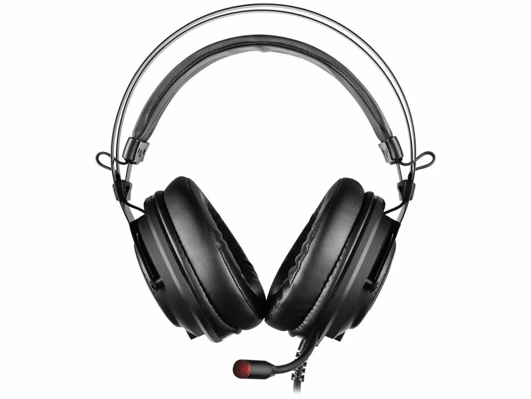 фото Наушники с микрофоном Sandberg Dizruptor Headset (126-11) 1