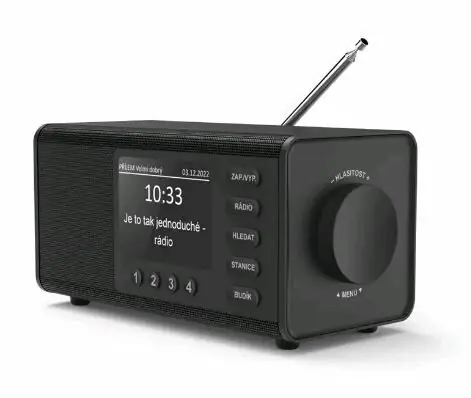 фото Радіоприймач Hama DR1000 Black (54897)