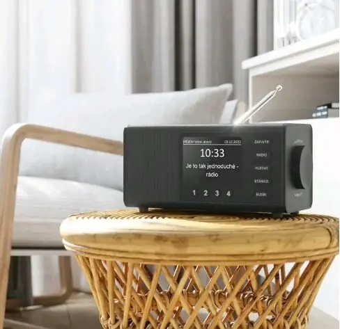 фото Радіоприймач Hama DR1000 Black (54897)