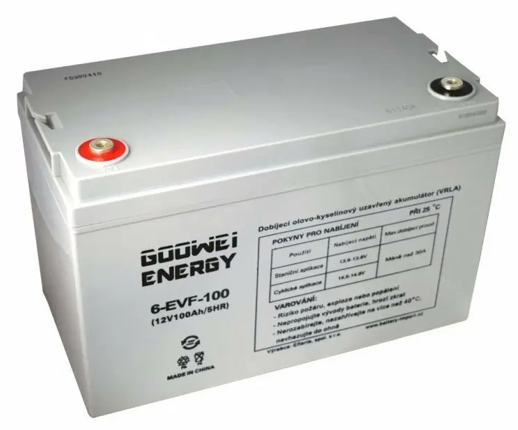 фото Акумулятор для ДБЖ Goowei Energy 6-EVF-100