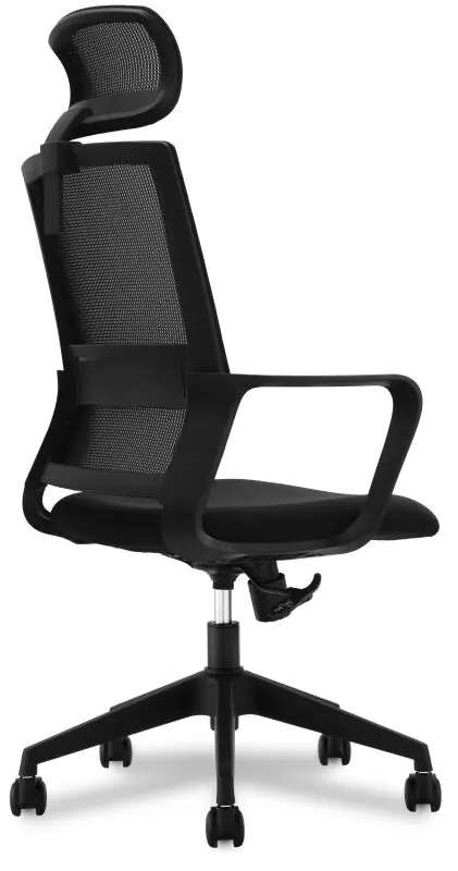 фото Офісне крісло Connect IT ForHealth GamaPro Black (COC-2010-BK)