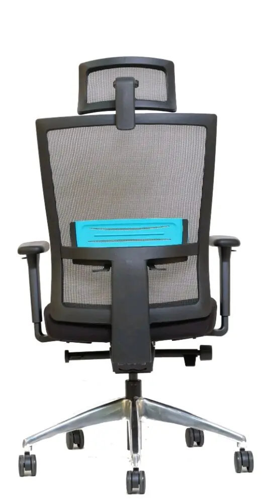 фото Офісне крісло Mercury Windy Black/Tursque (1051311)