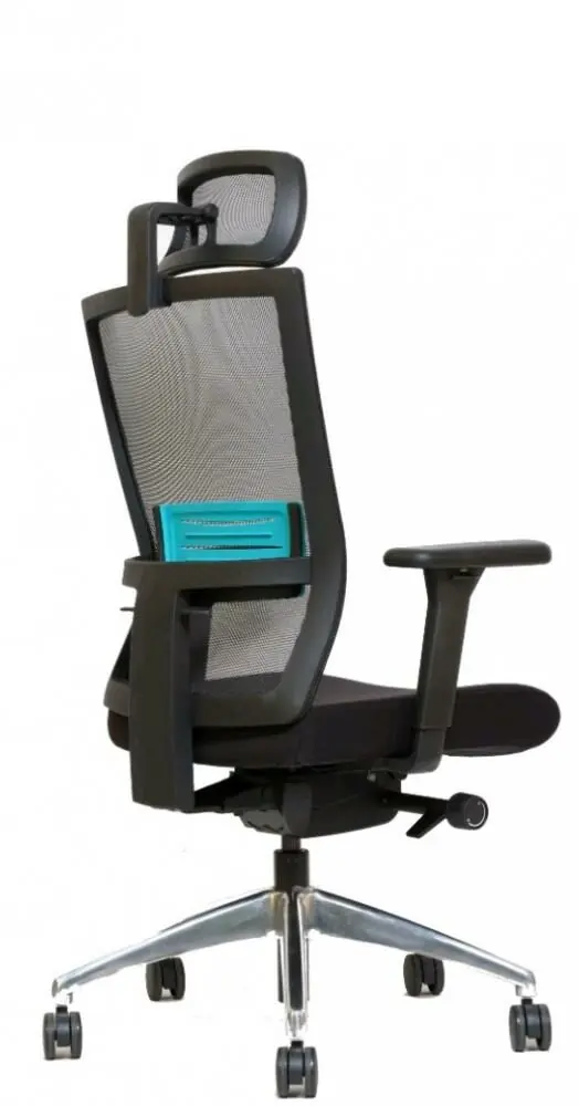 фото Офісне крісло Mercury Windy Black/Tursque (1051311)