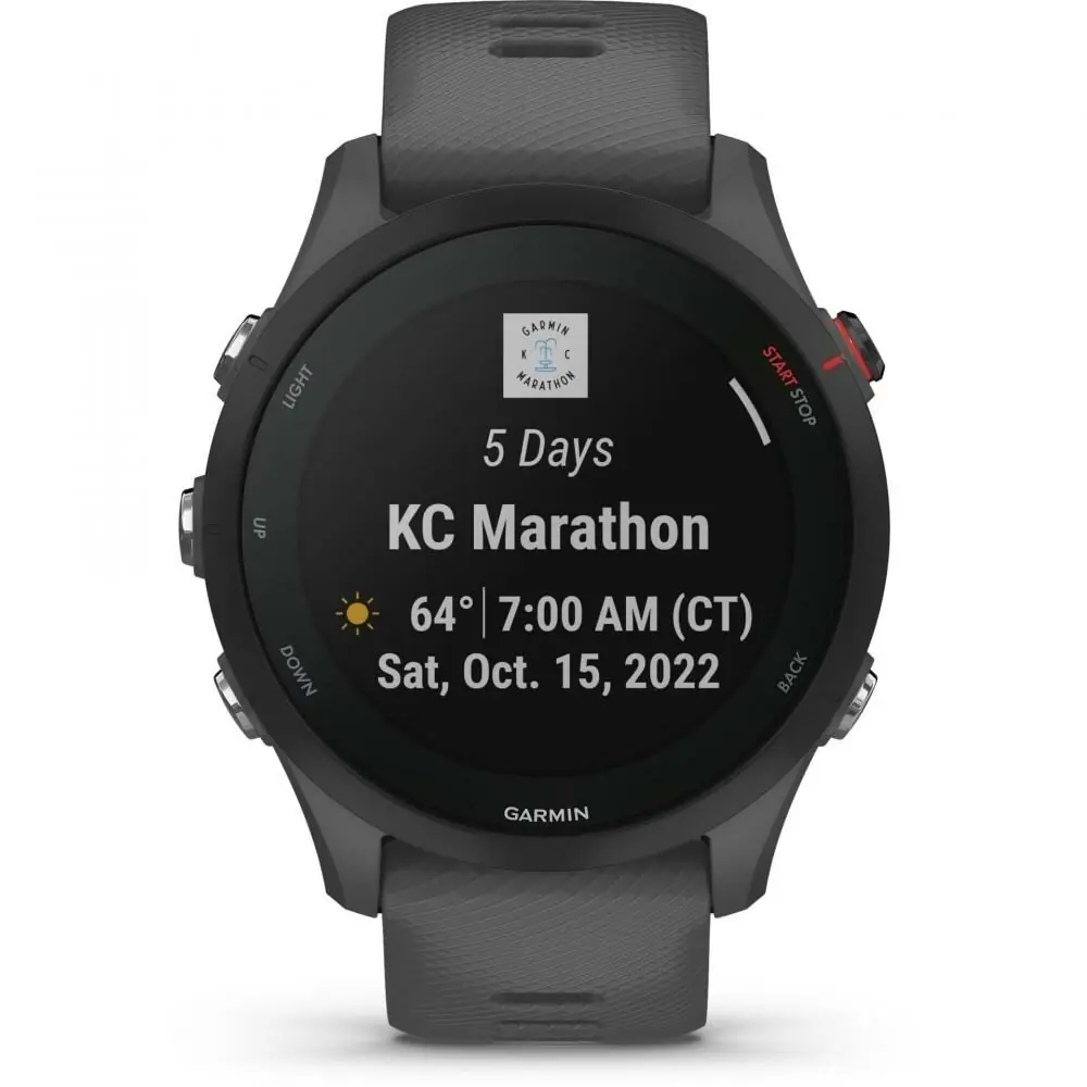 фото Смарт-годинник Garmin Forerunner 255 Slate Gray (010-02641-00/10/43)