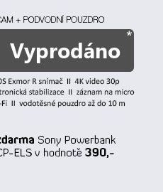 Sony 4K FDR-X1000V Action Cam