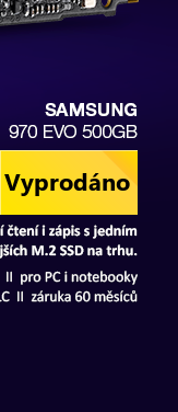 SAMSUNG 970 EVO 500GB