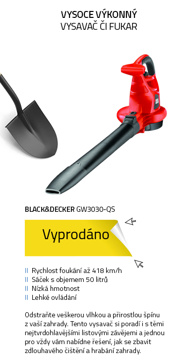Black&Decker GW3030-QS