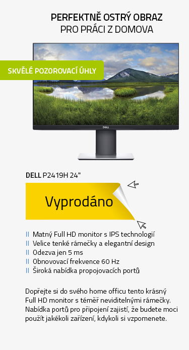 LCD Monitor 24" DELL P2419H Professional