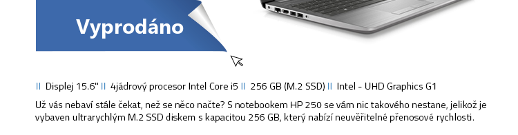 Notebook HP 250 G7 Stříbrná