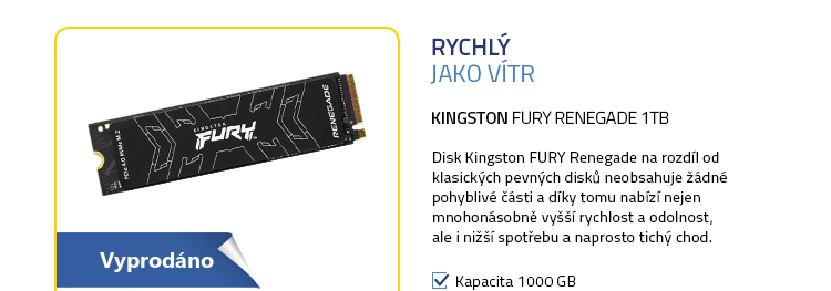 Kingston FURY Renegade 1TB