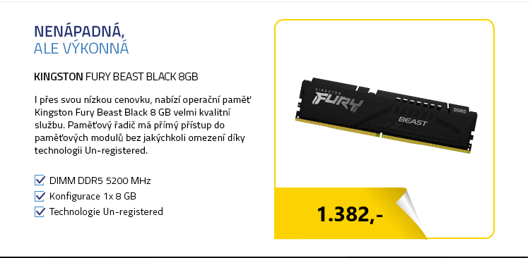 Kingston FURY Beast Black 8GB
