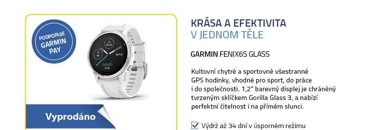 Garmin fenix6S Glass stříbrno-bílá