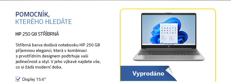 Notebook HP 250 G8 stříbrná