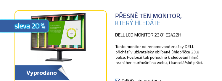 LCD Monitor 23.8" DELL E2422H