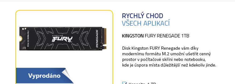 Kingston FURY Renegade 1TB