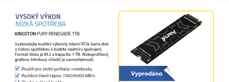 Kingston FURY Renegade 1TB