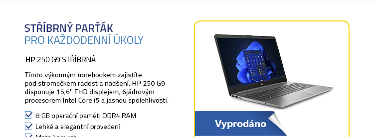 Notebook HP 250 G9 stříbrná
