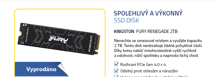 Kingston FURY Renegade 2TB