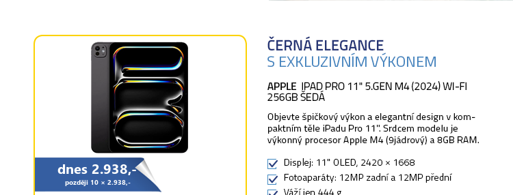 Apple iPad Pro 11" 5.gen M4 (2024) Wi-Fi 256GB šedá