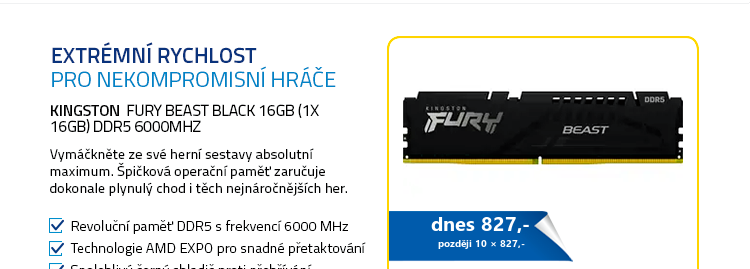 Kingston Fury Beast Black 16GB (1x 16GB) DDR5 6000MHz